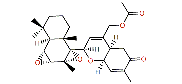 Ansellone F